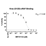 Kras G12D– cRAF Binding Assay Kit 